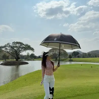 雷辉国